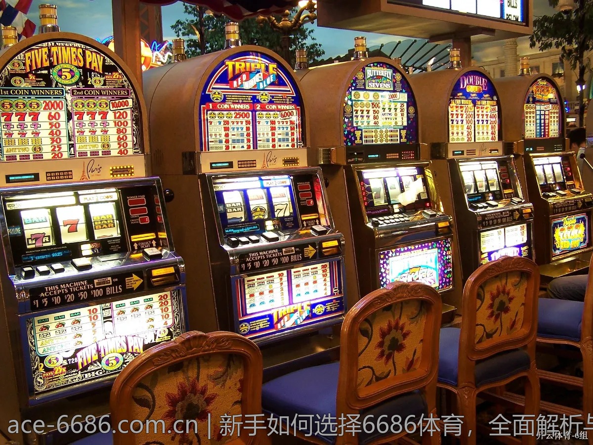 新手如何选择6686体育，全面解析与推荐