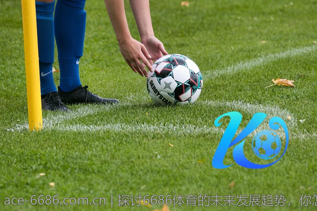 探讨6686体育的未来发展趋势，你怎么看？