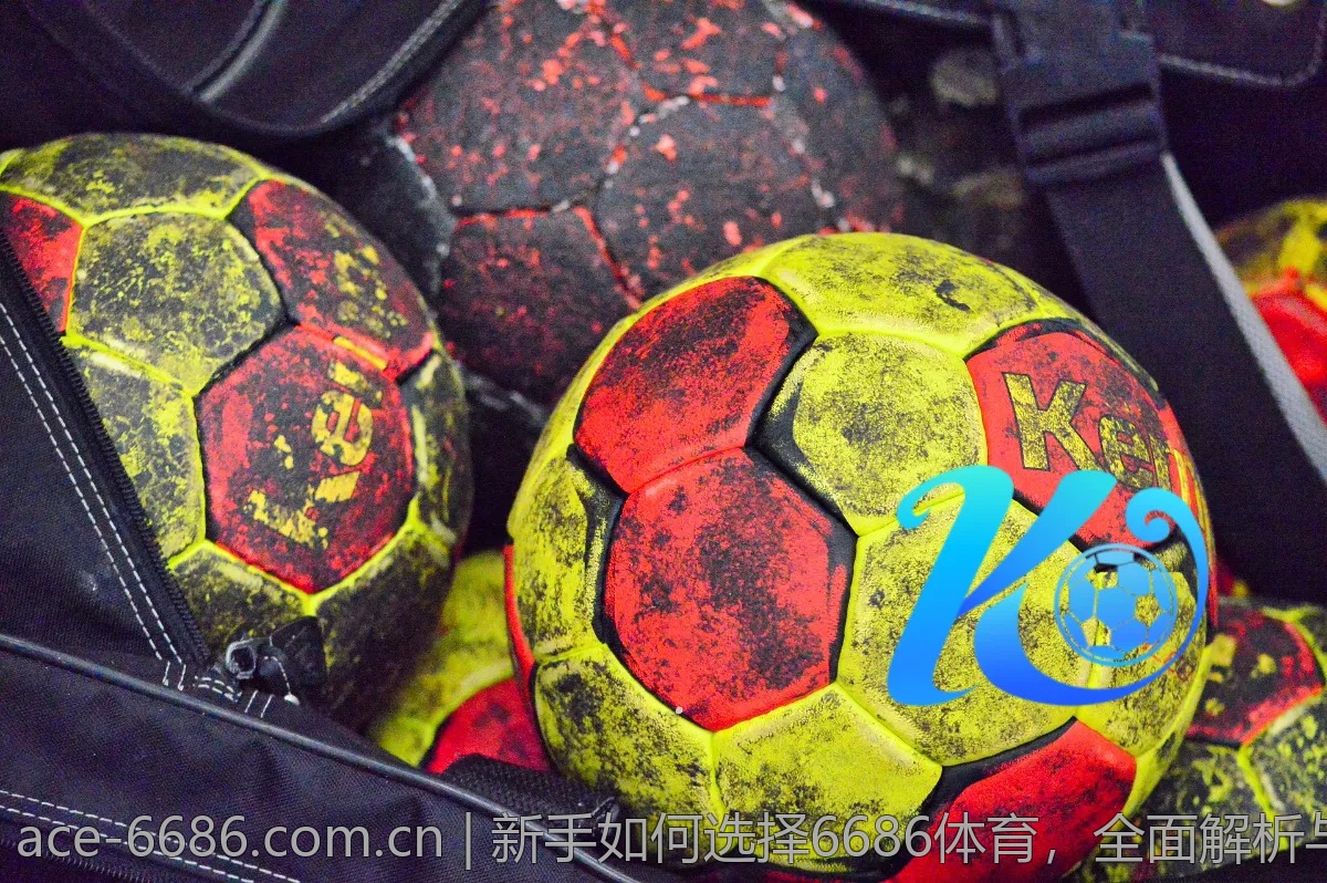 新手如何选择6686体育，全面解析与推荐