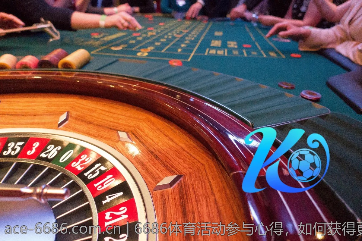 新手如何选择6686体育，全面解析与推荐